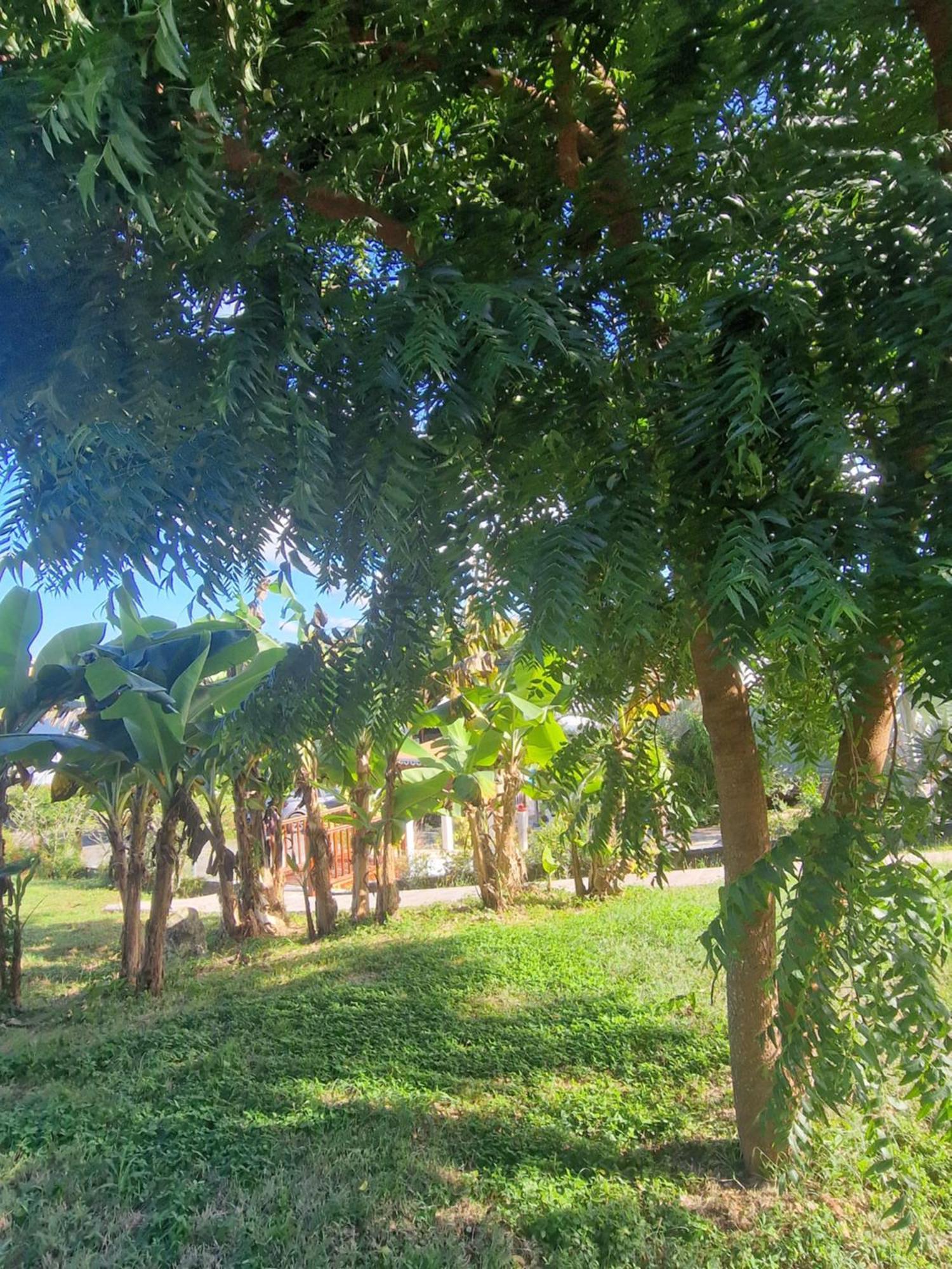 לה מול Les Villas De Boisvin מראה חיצוני תמונה